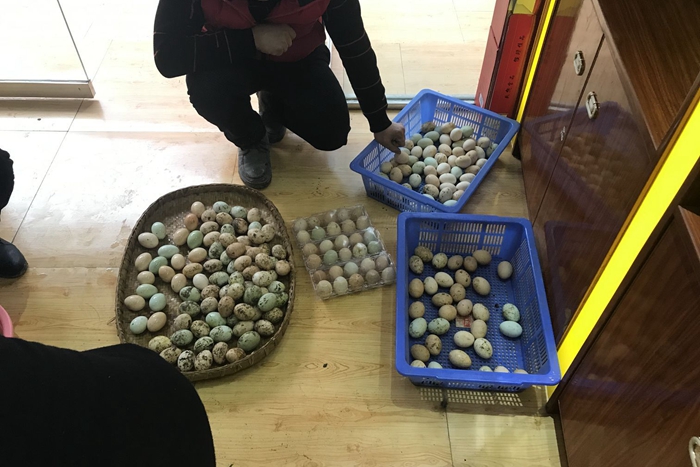 QQ图片20191216184448.jpg